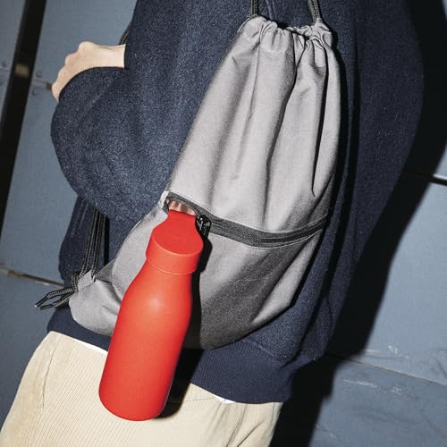 Alessi Away AST01 R - Double Walled Thermos Flask with Infuser and Filter, Coloured 18/10 Stainless Steel, 500 ml, Red 16.9 Ounces