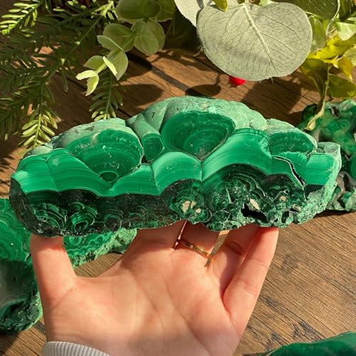 Natural Malachite Slice 50-100g (0.11-0.22lb), Polished Malachite Slab Healing Crystal Stone, Green Mineral Specimen for Jewelry Making, DIY, Reiki, Pocket Crystal Collection