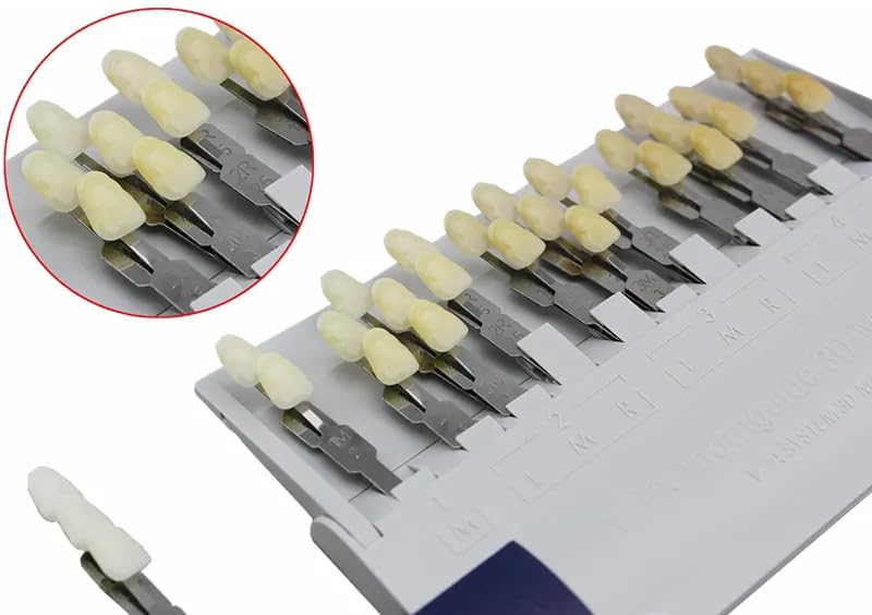 [Australia - AusPower] - Dental Shade Guide 3D Master | 29 Colors Including Bleaching Shades for Veneers & Esthetics | Professional Tooth Color Matching Tool for Accurate Dental Shade Selection 