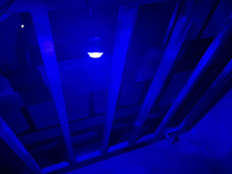 [Australia - AusPower] - 50pcs 3/4 side marker lights Blue Clearance Lamp Small Round Amber LED Side Marker Indicator Turn Signal Light Truck Trailer Bus Marine RV Automobiles Flatbed with heat shrink butt connectors 50pcs 