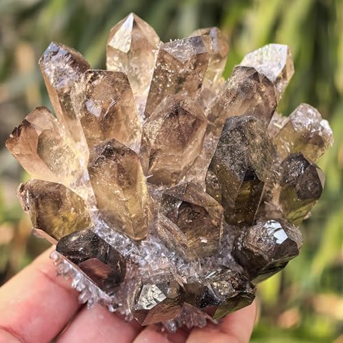 Natural Quartz Crystal Point Cluster, Reiki Healing Stone, Home Decor Gift (About 220g Smoky Quartz) About 220g Smoky Quartz