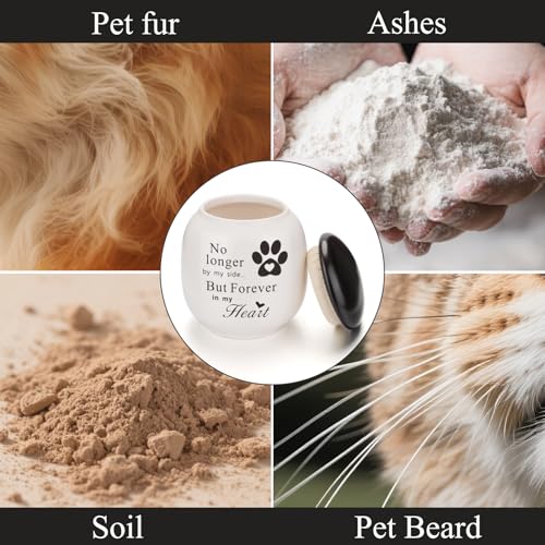 Pet Urn for Dog Cat Ashes Small Handmade Memorial Keepsake-Paw Print White Paw