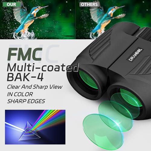 20X25 Small Binoculars for Adults and Kids, Large Eyepiece Binoculars for Bird Watching Easy Focus, Pocket High Powered Opera Glasses for Concert, Cruise Ship, Travel Must Have Binocular2025-Black