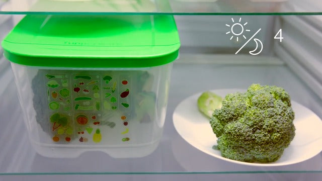 Tupperware Fridgesmart Medium Deep 16 Cup Veggie Container