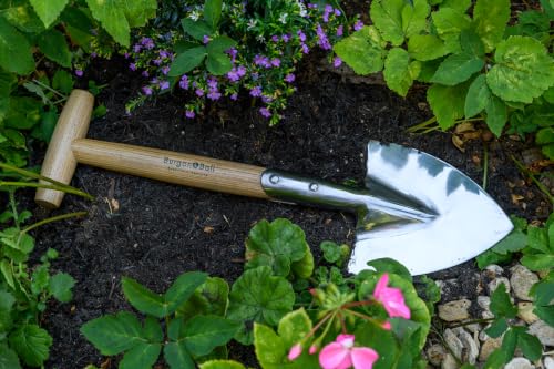 Burgon & Ball stainless steel small perennial spade with wood T-grip handle