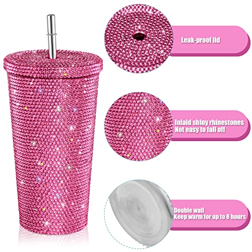 Mimorou Studded Bling Diamond Tumbler Glitter Water Bottle with Lid Stainless Steel Vacuum Thermal Straw Rhinestone Tumbler with 1 Pcs Cup Brush 6 Pcs Straw Brushes for Women(16.9 oz,Pink) Pink 16.9 Ounces
