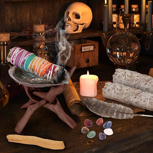 Nutgun Sage Smudge Kit - 2 White Sage Sticks, 1 Chakra Sage Stick, Palo Santo, Abalone Shell, Stand, Smudging Feather, 7 Chakra Stones & Guide ~ Sage Incense Sticks for Cleansing House & Meditation Sage Smudge Kit With Healing Stones