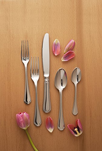 Fortessa Medici 18/10 Stainless Steel Flatware Tea/Coffee Spoon, Set of 12