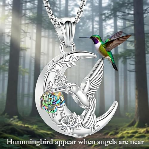 Oinsi Cremation Jewelry Crescent Moon and Hummingbird Urn Necklaces for Ashes for Women Men Rose Ashes Keepsake Memorial Human Ashes Pendant Silver-Colorful