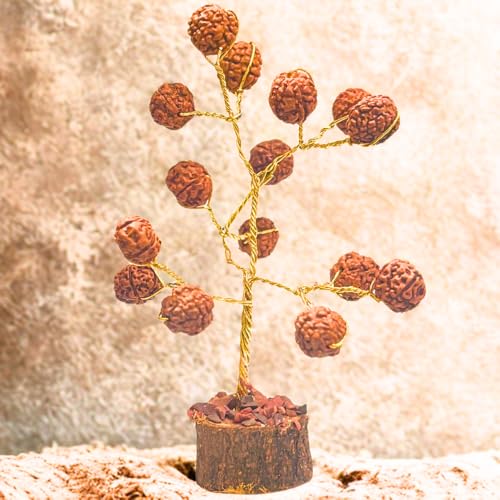 Rudraksh Beads Tree with Natural Wood Base – Handmade Spiritual Bead Decorative Ornament for Home and Office Decor Rudraksh Beads