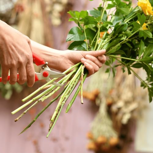 Kyoto Hana Akari Sakagen Hand Creation P-180 warm grey Japanese bypass pruning shears for flowers and gardening