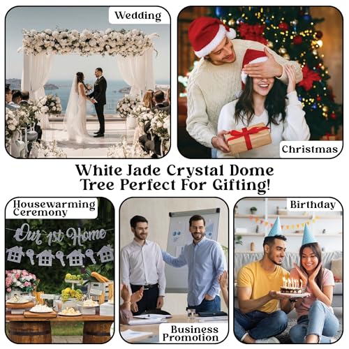 White Jade Crystal Tree in Glass Dome - Chakra Tree, Healing Crystals, White Feng Shui for Positive Energy, Meditation, Birthday, Spiritual Gifts for Women, Home & Office Decor