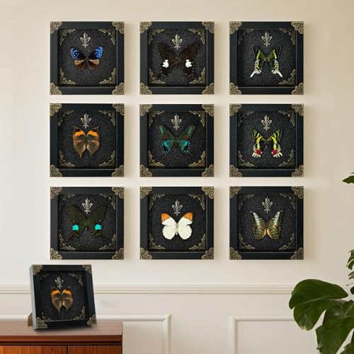 Real Butterfly Framed Handmade - Taxidermy Butterfly Shadow Box - Real Framed Butterflies in a Box for Gothic Home Decor Aesthetic. (Kallima Inachus) Kallima Inachus