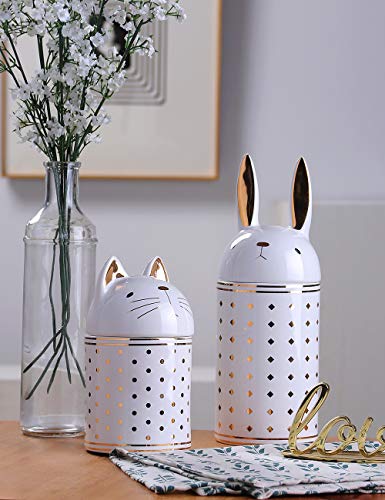 HAUCOZE Cat Cookie Jar Candy Storage Kitchen Canister with Lid 8.3Inch