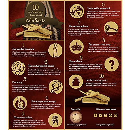 Prabhuji's Gifts Palo Santo Incense Cones - Cinnamon - Handmade Natural Incense Cones - Palo Santo Cones - Spiritual Incense - Holy Wood Incense - Protection & Prosperity - (6 Cones)