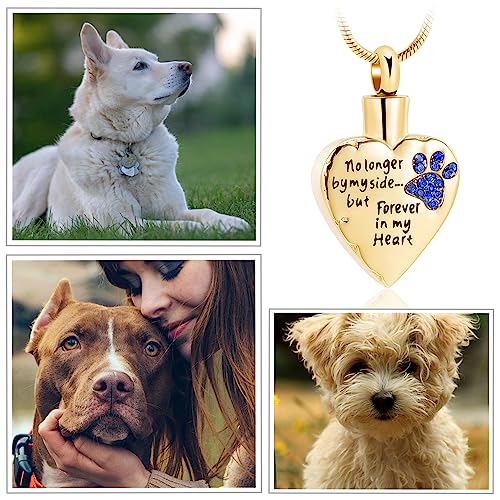 Urn Necklace for Ashes Personalized Urn Pendant Heart Necklace Pets Paw Print Keepsake Waterproof Memorial Gifts for Dogs Gold-Blue