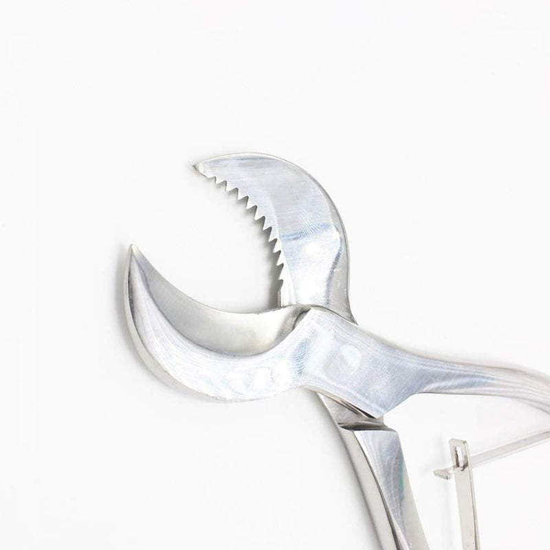 [Australia - AusPower] - Stainless Steel Dental Pliers Plaster Nippers Cutter Dentist Lab Equipment, Cow Horn Jaws, Serrated Blade, Spring Action by Hbmol (Small) 