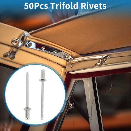 A ABSOPRO stainless steel countersunk head closed sealing blind rivets, 3.2mm grip diameter, 50 pieces