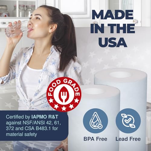 Healthy Spring 1 Micron Whole House Sediment Filter Replacement Cartridges, 10 x 2.5 inch, Pack of 2