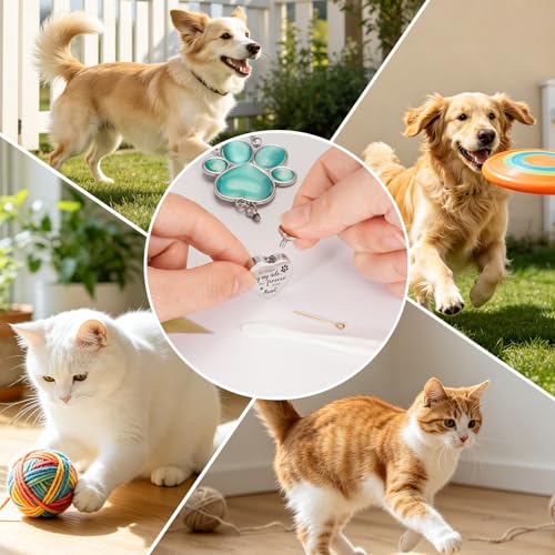 Dletay Pet Urns for Dogs Cat Ashes Crystal Suncatcher Heart Shaped Memorial Cremation Keepsake Bereavement Remembrance Paw Print Pet Loss Rainbow Bridge Paw-Sun