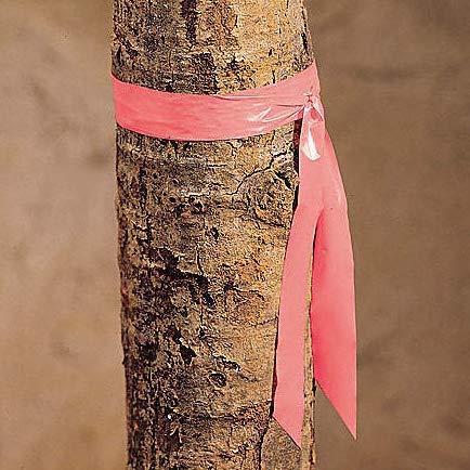 Flagging Tape， Survey Ribbon for Boundaries and Hazardous Areas Non-Adhesive Surveyor Tape with 1" Width, 150' Length -15F Temperature Resistance at Summer(Pack of 10) (Pink) Pink
