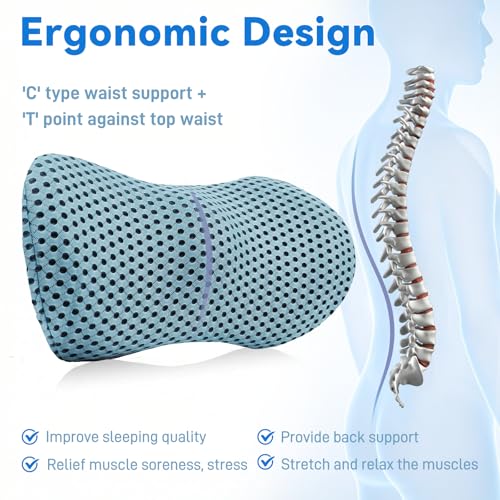 Lumbar Support Pillow, Memory Foam Lumbar Pillow for Office Chair and Car Seat, Back Pillow for Lower Back Pain Relief, Back Support Pillow for Sitting, Driving, Traveling (Blue) Blue