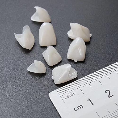 [Australia - AusPower] - New 2 Packs Dental Temporary Crown Material for Anterior + Molar Teeth Veneers 