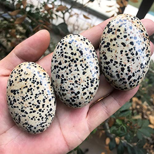 Fekuar Oval Dalmation Jasper Palm Stone, Polished Worry Pocket Stones Healing Crystal for Therapy Geometry Chakra Balancing Beige Dalmation Jasper