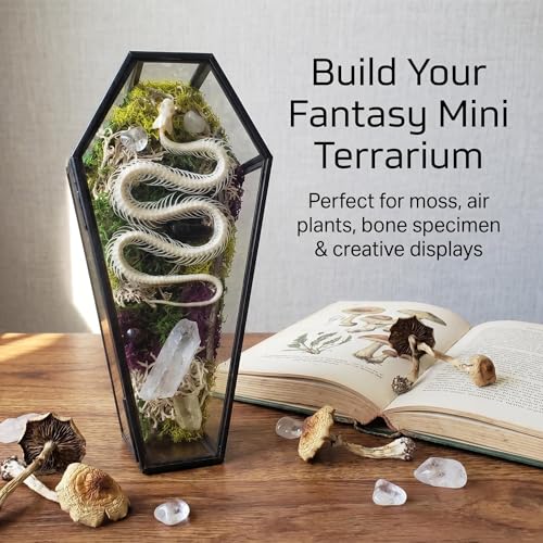 Small Glass Coffin Jewelry Box with Lid, Gothic Trinket & Keepsake Case