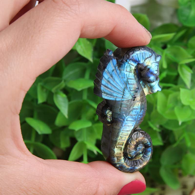 Wixine1Pcs Labradorite Hand Carved The Sea Horse Quartz Crystal Healing