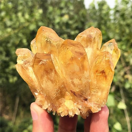 Citrine Quartz Cluster Reiki Healing Irregular Shape & Size Natural Crystal Point Mineral Crystal Specimen Home Decor (200~300g) 200~300g