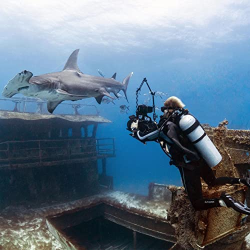 MINIFOCUS 2PCS 1'' Aluminum Triple Holes Ball Clamp Mount for Underwater Diving Light Arms Tray System, Photography Diving Camera, 360° Clip for GoPro Action Camera Flashlight Arms System 2 Pcs 3 Holes