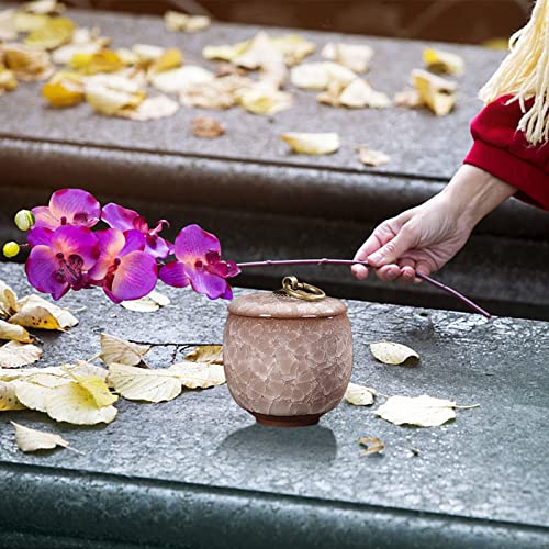 Small Urns for Human Ashes, Ceramic Memorial Mini Ashes Urns, Hold 5.5 Cubic Inches of Ashes, Beautiful Mini Sharing Funeral Urns with Exquisite Box (White) White&m