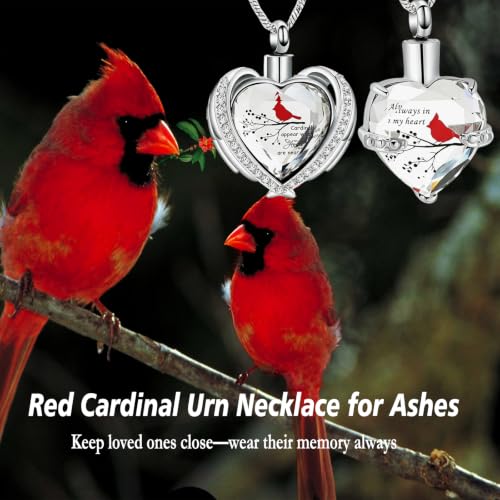 Yinplsmemory 2 Pieces Red Cardinal Urn Necklace for Ashes Keepsake Memorial Crystal Heart Urn Locket for Human/Pet Cremation Jewelry Silver