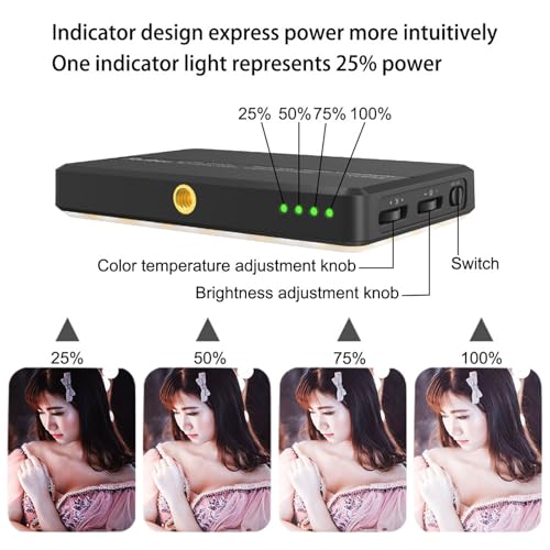 Upgrade 120 LED Selfie Light for iPhone with Front & Back Clip black