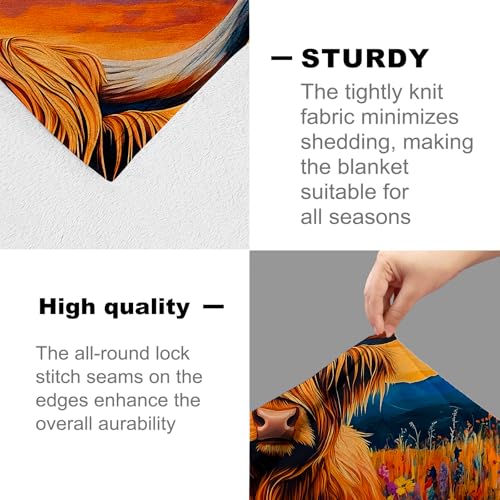 Highland Cow Flannel Throw Blanket 80x60 Inch, Cute Animal in Wildflower Field at Sunset, Vibrant Nature Art Style Blankets for Living Room, Bedroom, Sofa, Country Decor Gifts Throws 60"x80" Highland Cow01