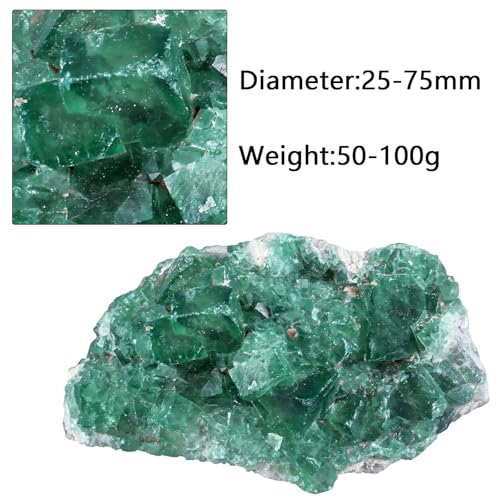 Sportmusies Natural Green Fluorite Crystal Cluster, 0.98-2.95 inches 0.98 - 2.95 Inch
