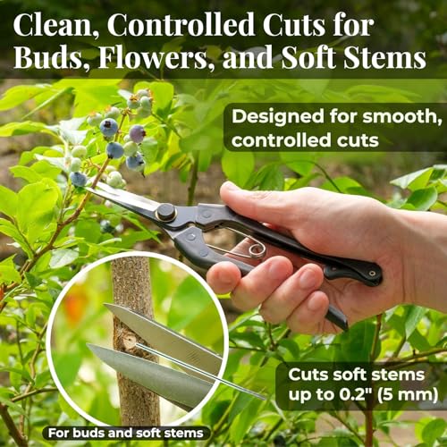 Wablade Japanese pruning scissors for buds and flowers, 8.2-inch double-blade design Made in Japan