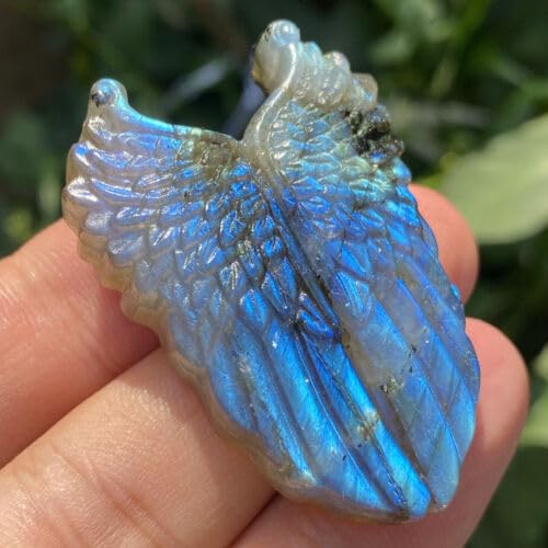 2" Natural Labradorite Quartz Hand Carved The Wing Skull Crystal Reiki Healing