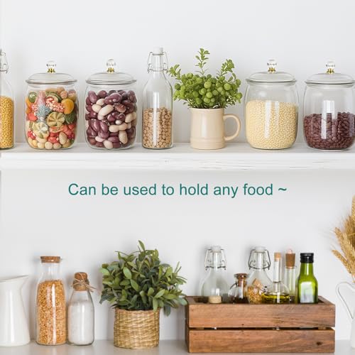 4Pcs Plastic Candy and Cookie Jar with Lids,74oz Large Food Storage Container Candy Buffet Containers,Acrylic Jars with Lids,Decorative Kitchen Storage Jar for Candy,Cookie Clear 74.29 ounces Oval