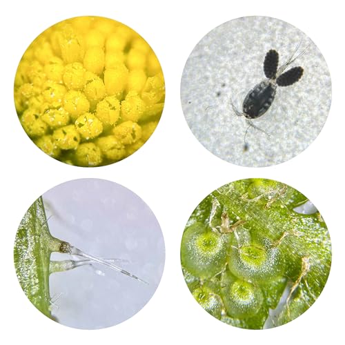Bresser junior stereo 3D microscope ICD-Pro with 20x and 50x magnification for children and adults for the observation of stones, coins, insects and much more | Auflichtmikroskop und Durchlichtmikroskop, 12 Mineralproben, 5 Dauerpräparate, Binokulare S...