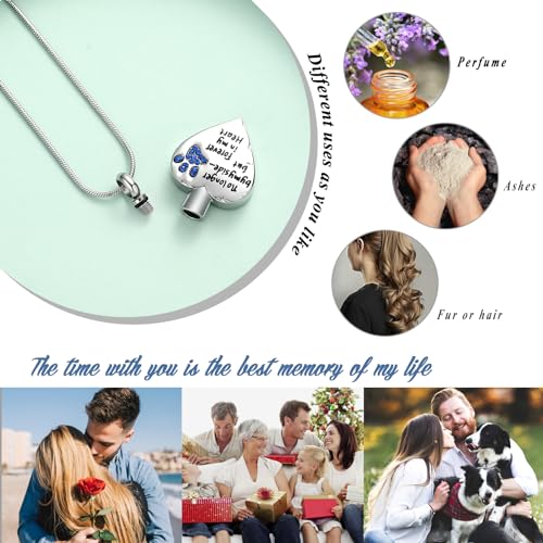 Urn Necklace for Ashes Personalized Urn Pendant Heart Necklace Pets Paw Print Keepsake Waterproof Memorial Gifts for Dogs A-Silver-Blue