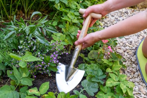 Burgon & Ball stainless steel small perennial spade shovel with wood T-grip handle