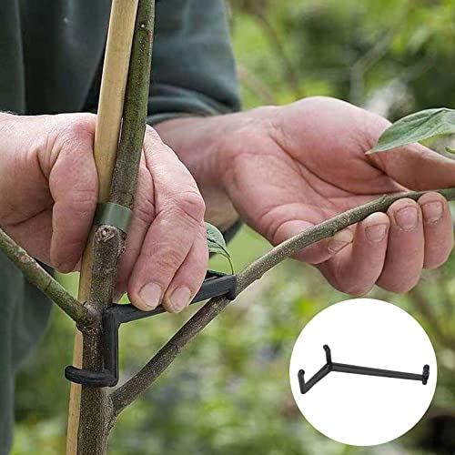 Yosoo Health Gear 20pcs Fruit Tree Spreader Plastic Bonsai Branch Trunk Spreader Modeling Tool Limb Spreader Black for Strong Spreading of Step Angles Branches