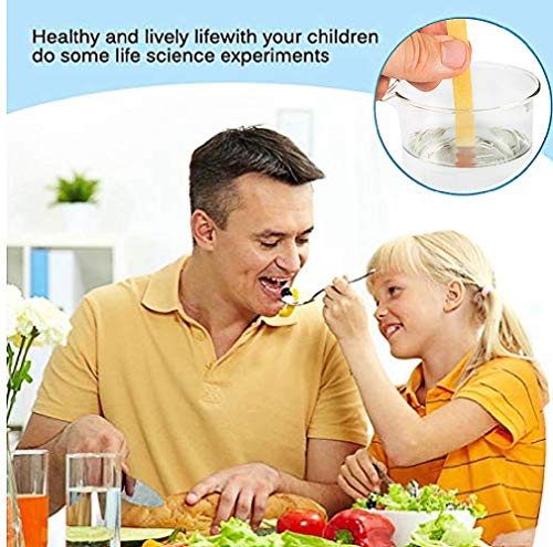 Pack of 240 pH Indicator Test Strips, 1-14, Litmus Paper, Ideal for Testing many Everyday Substances 1-in-1