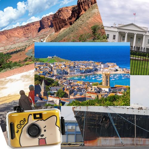 Waterproof Disposable Camera 35mm Dog Patterns - Underwater Film Camera for Beach, Snorkeling, Swimming & Summer Vacations - 18 Exposures, No Flash, Durable Design for Teens & Adults DOG-18 Pcs