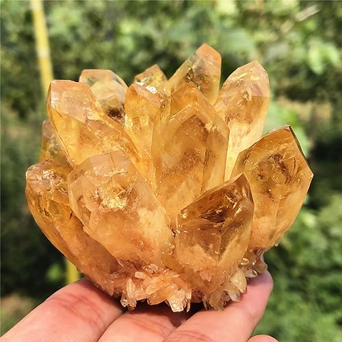 Citrine Quartz Cluster Reiki Healing Irregular Shape & Size Natural Crystal Point Mineral Crystal Specimen Home Decor (200~300g) 200~300g