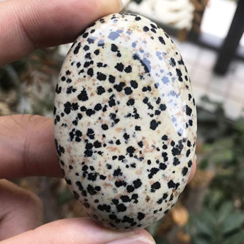 Fekuar Oval Dalmation Jasper Palm Stone, Polished Worry Pocket Stones Healing Crystal for Therapy Geometry Chakra Balancing Beige Dalmation Jasper