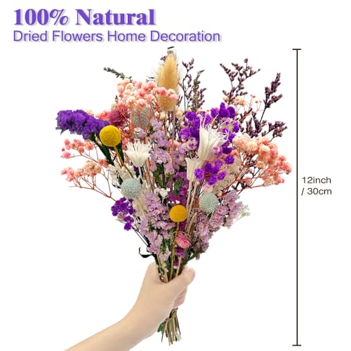 Dried Flowers Bouquet 39 Pcs Purple Dried Flowers 15 Kinds Set for Home Decor Table Boho Natural Flowers for Living Room Decor Wedding Arrangement and Craft Projects