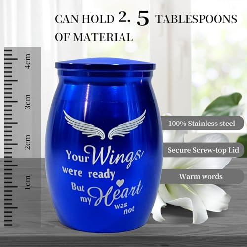 Small Urns for Human Ashes Keepsake, Mini Urn Cremation for Ashes, Little Tiny Baby Infant ERN Earns Holder Container Necklace Loss Memorial Gifts Funeral Urn - Heart Box with Blue Light